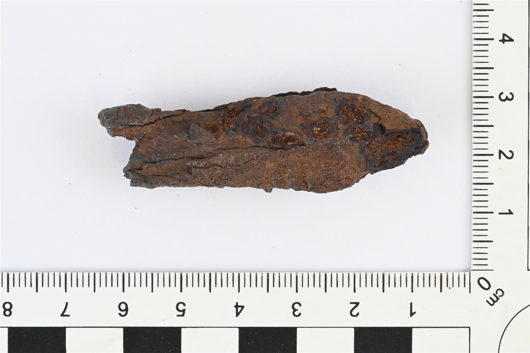 pikkukuva216037
