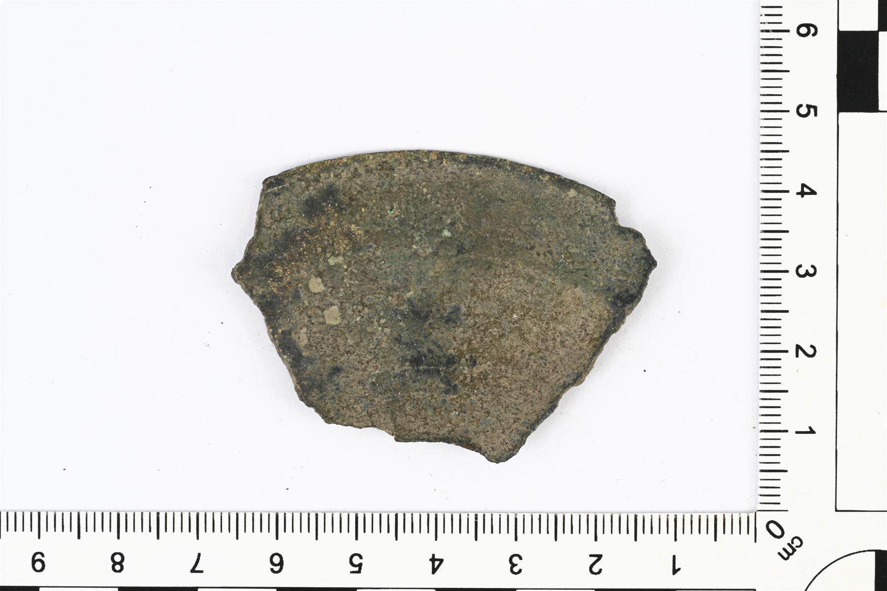 pikkukuva218373