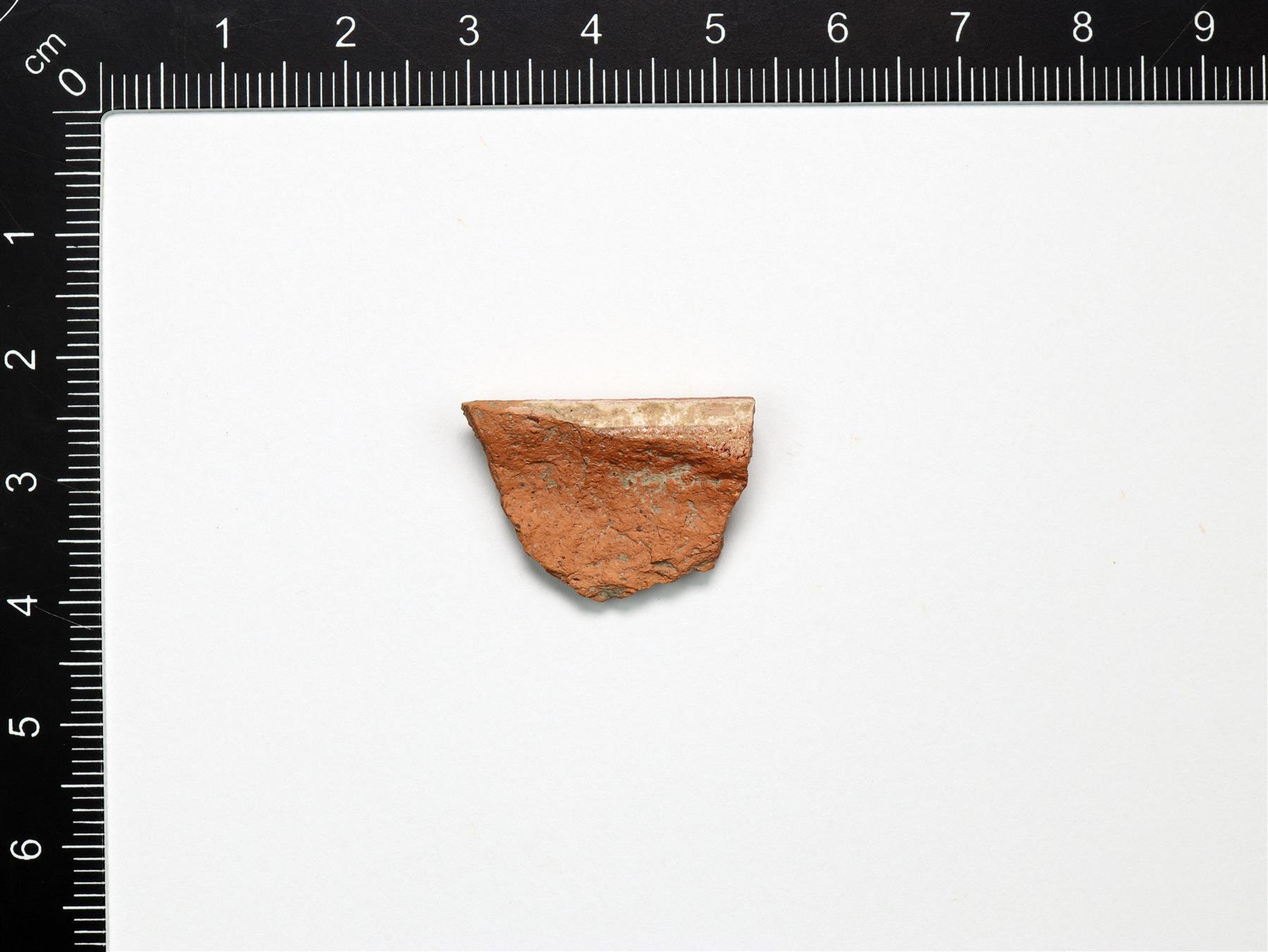 pikkukuva218710