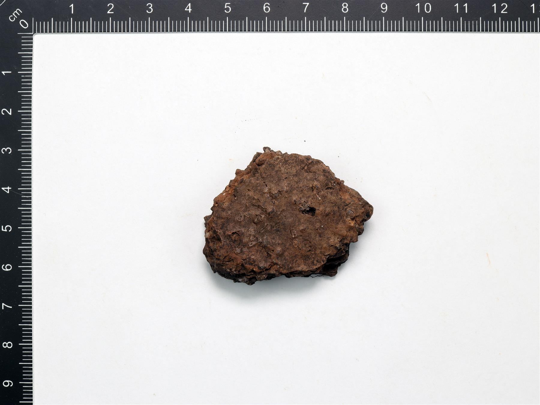 pikkukuva229730