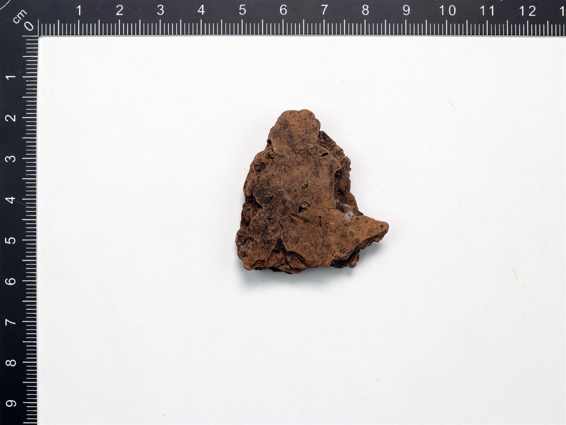pikkukuva229731