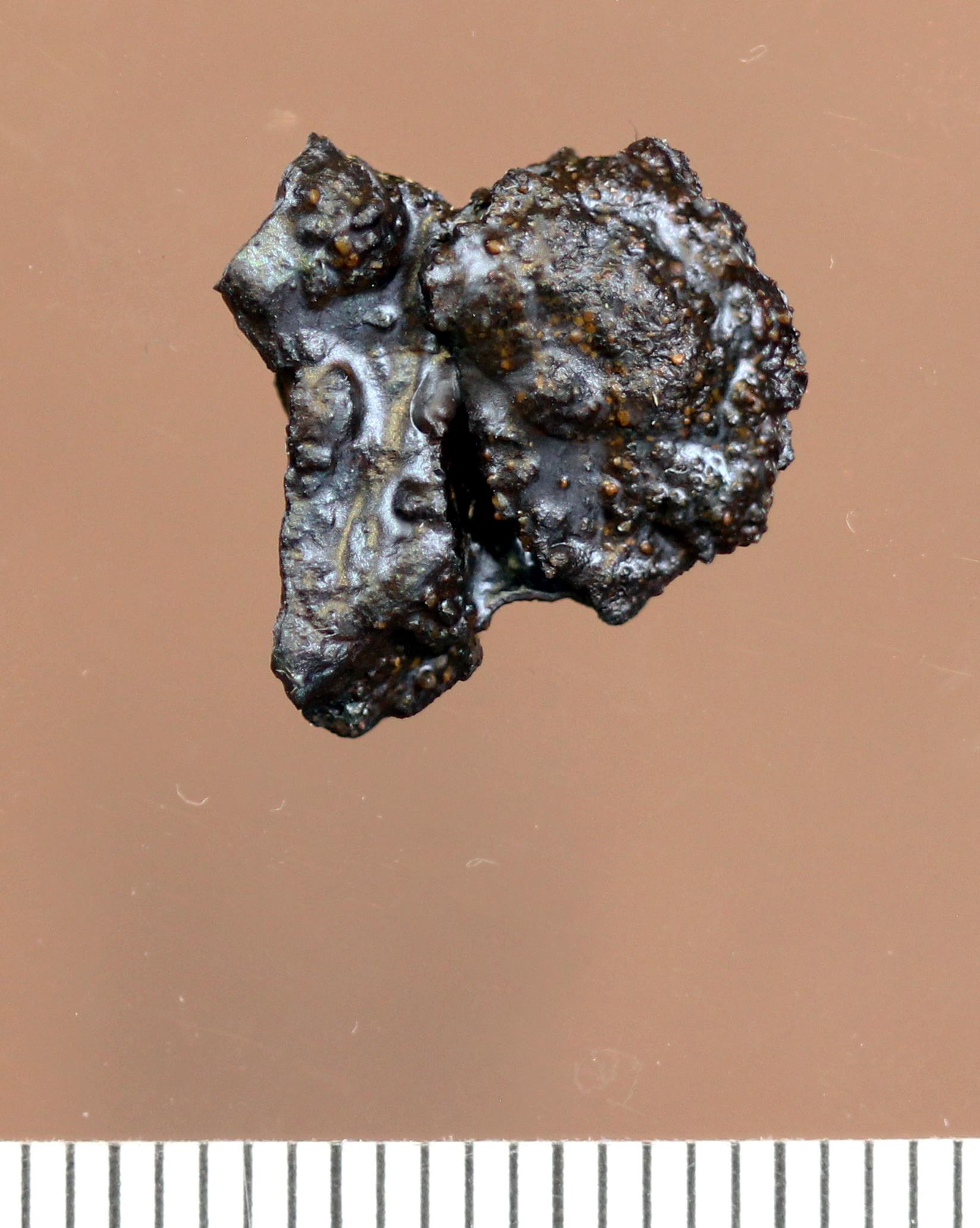 pikkukuva236406