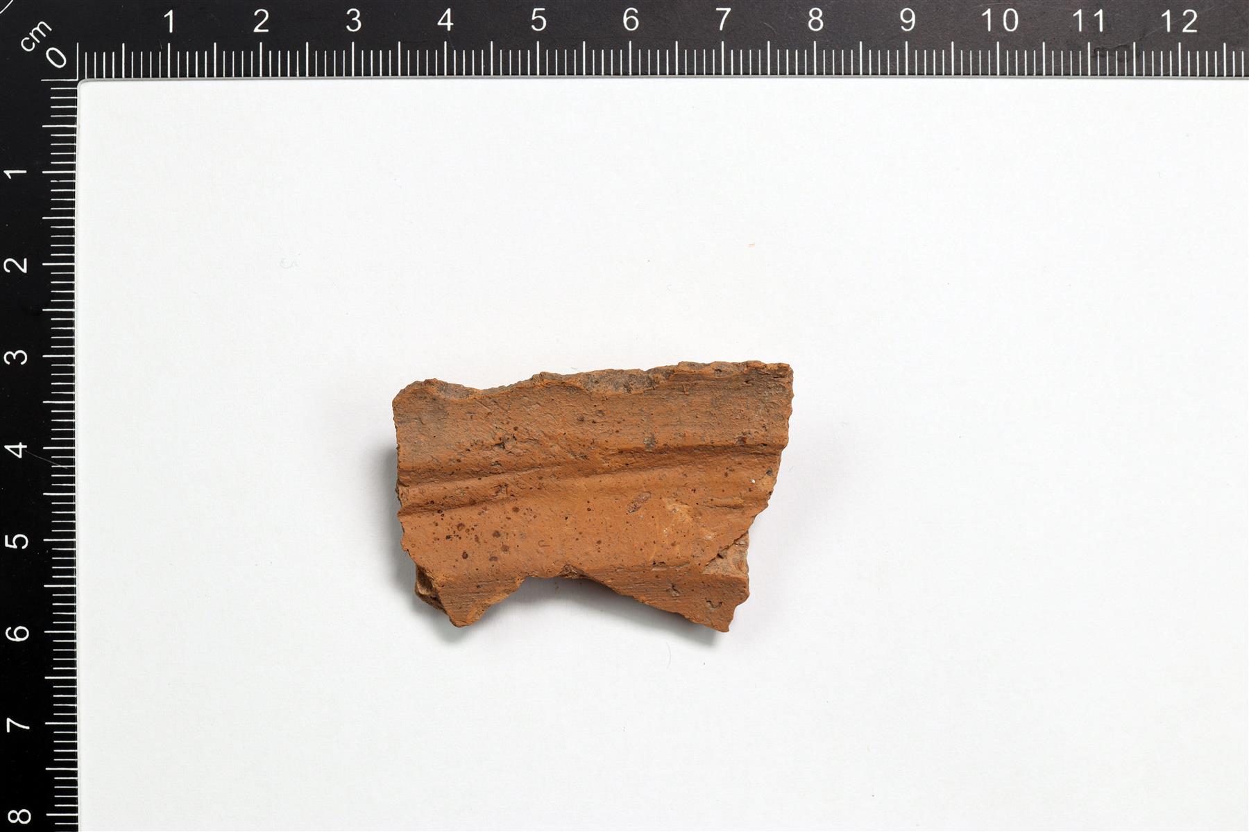 pikkukuva250331