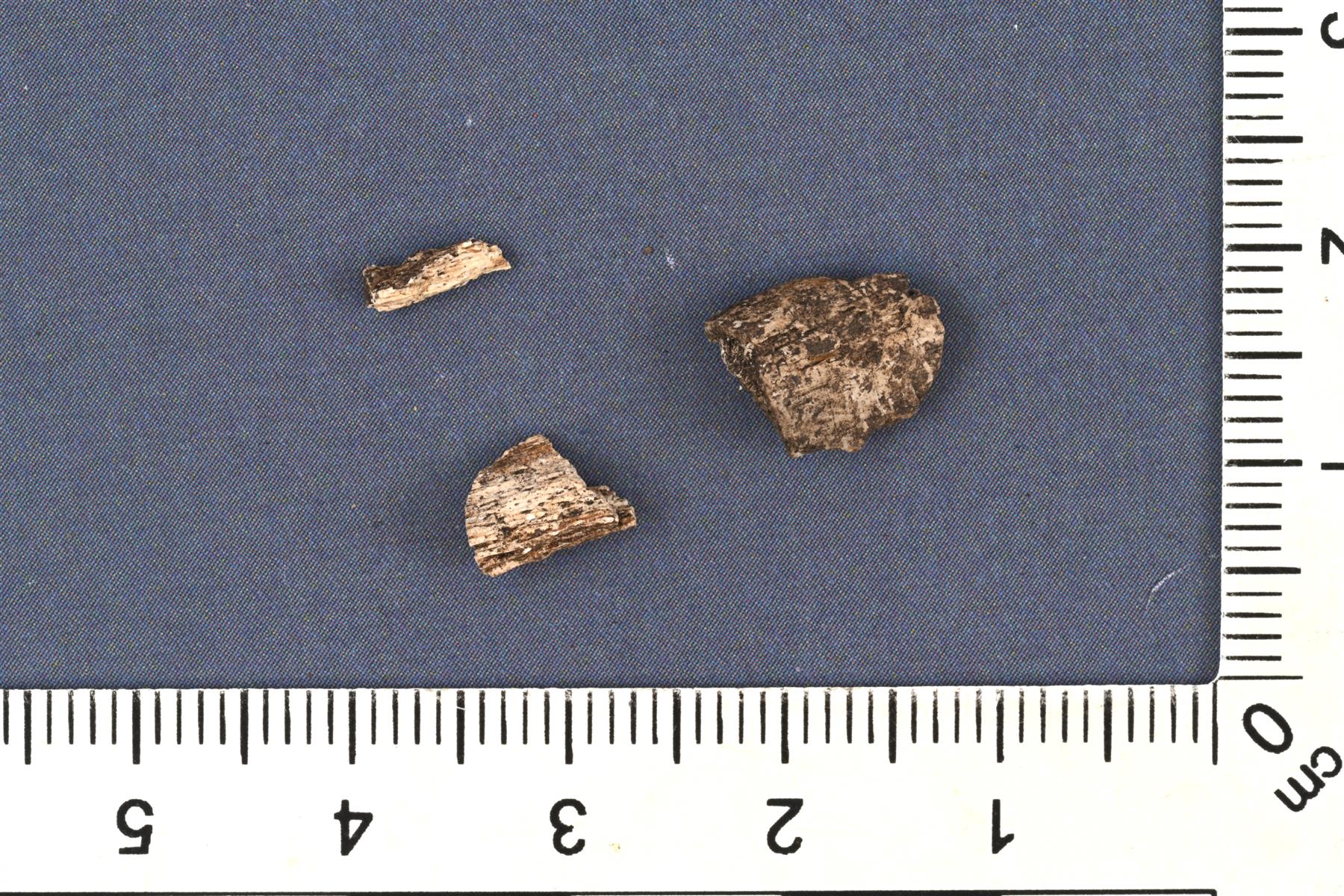 pikkukuva250862