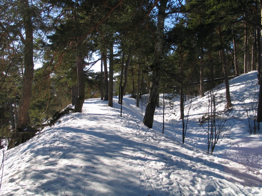 Kuva: Linnamäkeä kiertävää polkua. Kaisa Lehtonen 1.3.2005