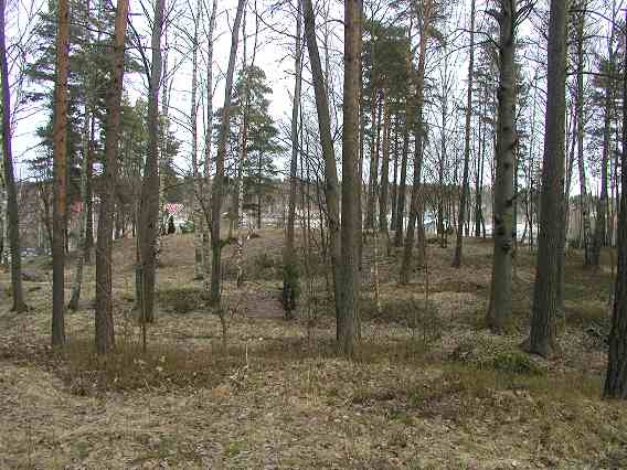 Kuva: Papinkallio näkymä alueelta itäänpäin Teija Tiitinen 30.3.2005
