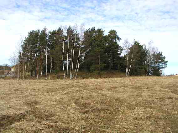 Kuva: Siiri 2 kaakosta. Etualalla olevaa niittyaluetta hoidetaan ainoastaan poistamalla sieltä versot, koska maiseman muinaisjäännökselle ei haluta sulkeutuvan. Teija Tiitinen 30.3.2005