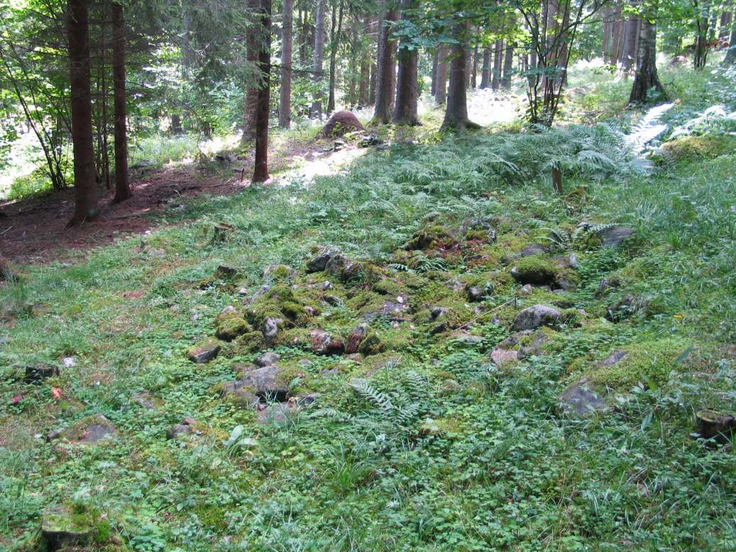 Kuva: Arorinteen hautaröykkiöitä. Kaisa Lehtonen 27.7.2005