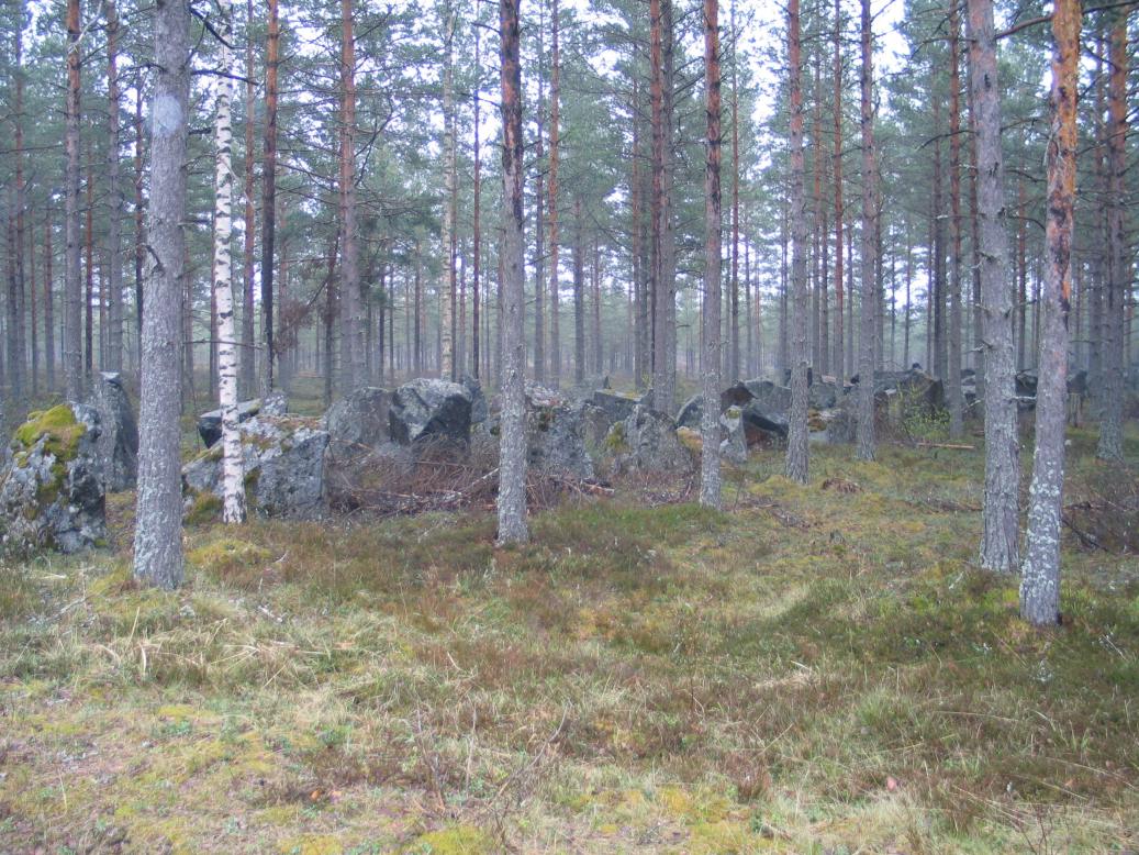 Kuva: Harparskogin panssariestettä. Kaisa Lehtonen 16.5.2005