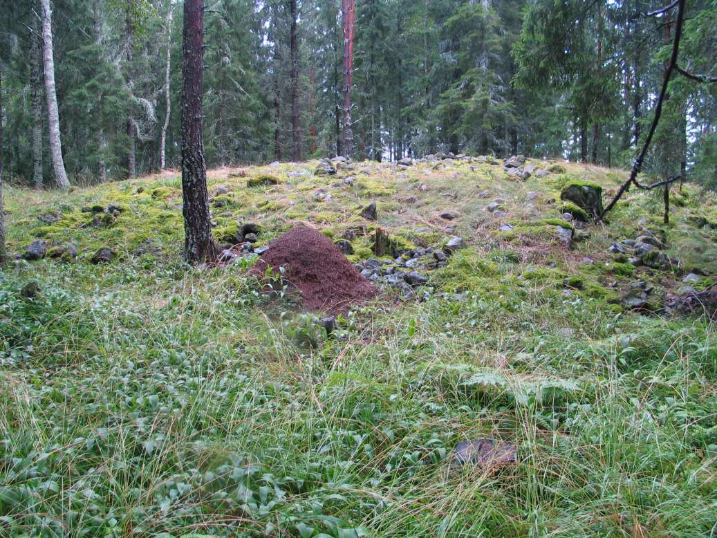 Kuva: Kohagenin suurin, vuonna 1948 tutkittu röykkiö. Kaisa Lehtonen 12.8.2005
