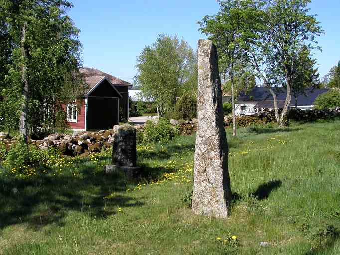 Kuva: Kalevanpojan viikatteentikku Untamalan hautausmaalla vuonna 2002. Teija Tiitinen 23.5.2002