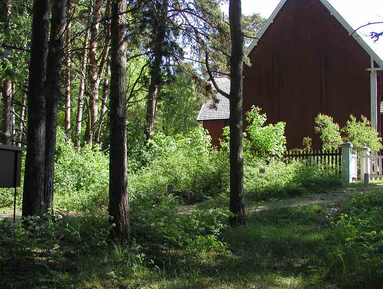Kuva: Seilin kirkon ympäristön länsiosaa ennen hoitoa lounaasta Teija Tiitinen 10.6.2005