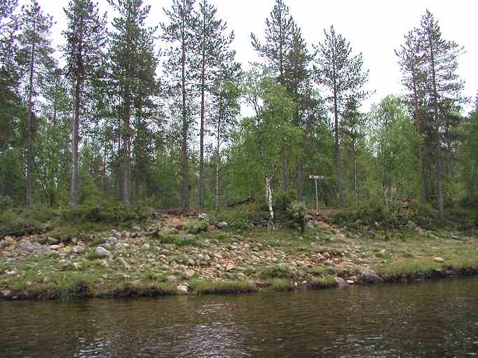 Kuva: Sotajoenpankin sijaintipaikka Ivalojoen tulosuunnasta käsin Teija Tiitinen 22.6.2005
