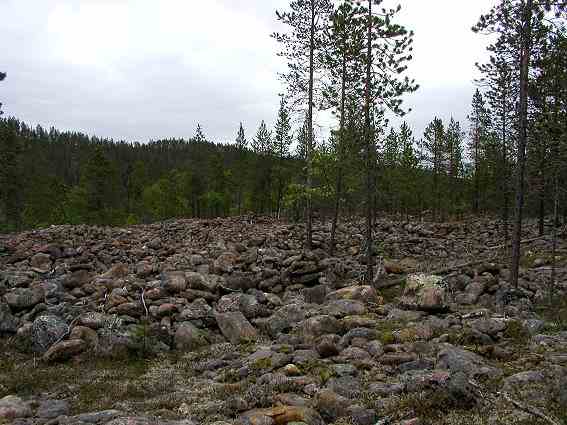 Kuva: Sotajoenpankkia ennen hoitoa. Kuvassa rakka-alue, johon kuoppia on kaivettu, kuvattu lännestä. Teija Tiitinen 22.6.2005