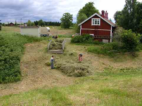 Kuva: Koroisen niemen sisäänkäyntiä niemeltä päin katsottuna, työkuva: raivausjätteen poiskuljetusta. Teija Tiitinen 29.6.2005