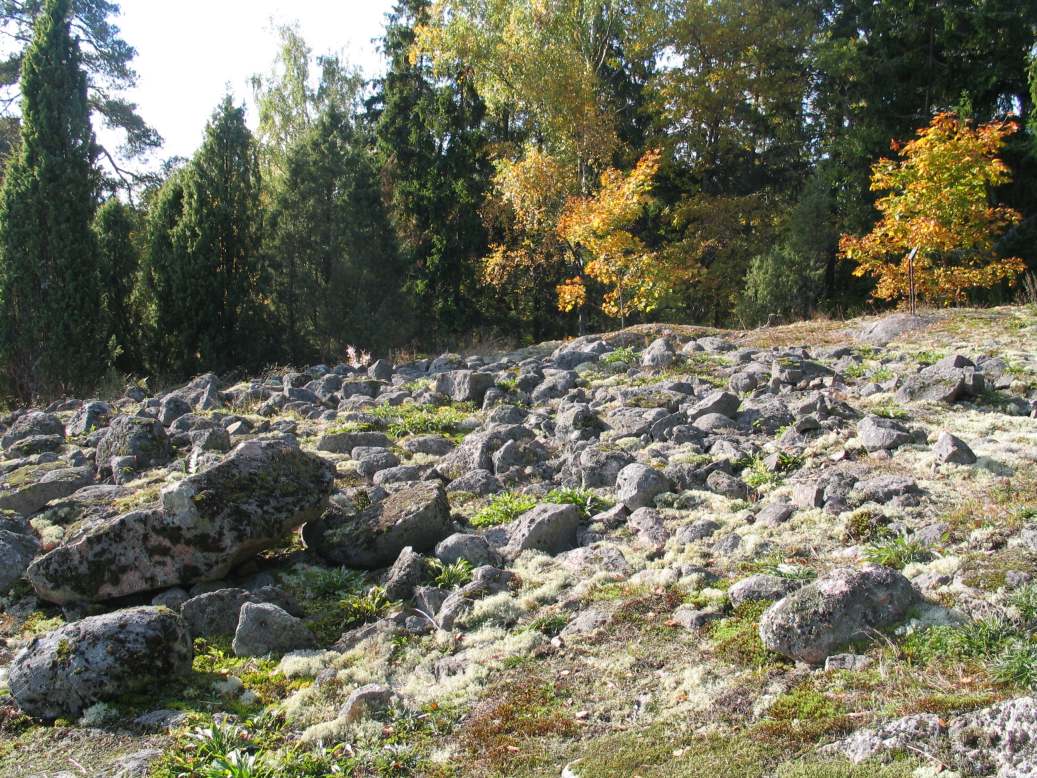 Kuva: Ekebergan hautalatomusta. Kaisa Lehtonen 7.10.2005
