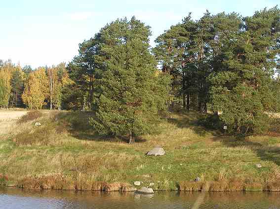 Kuva: Komosten kumpujen länsilaitaa Aurajoen eteläpuolelta Paaskunnan torpan pihamaalta. 10.10.2005 Teija Tiitinen