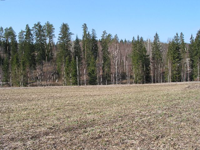 Kuva: Taustalla pellon takana Sampasjoki ja Myllymäen hoitoalue Leena Koivisto 23.4.2003