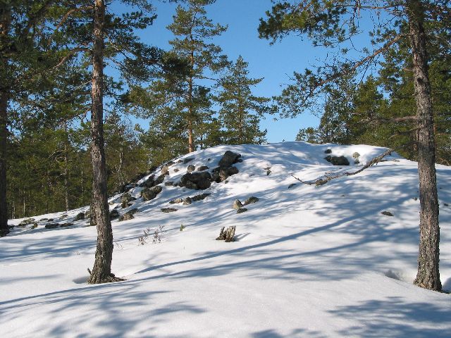 Kuva: Sammallahdenmäen röykkiöitä talvella Leena Koivisto 3/2004