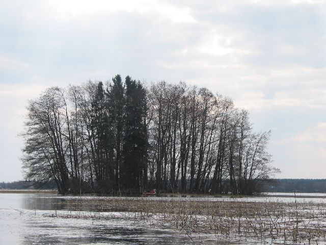 Kirkkokari kuvattuna Taren rannasta N suunnasta Leena Koivisto 28.4.2005