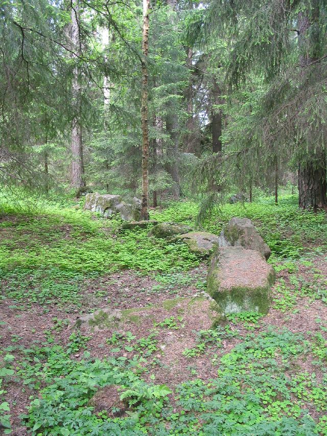 Kuva: Kiviaidan (?) jäänteitä Liikistössä Leena Koivisto 3.6.2004