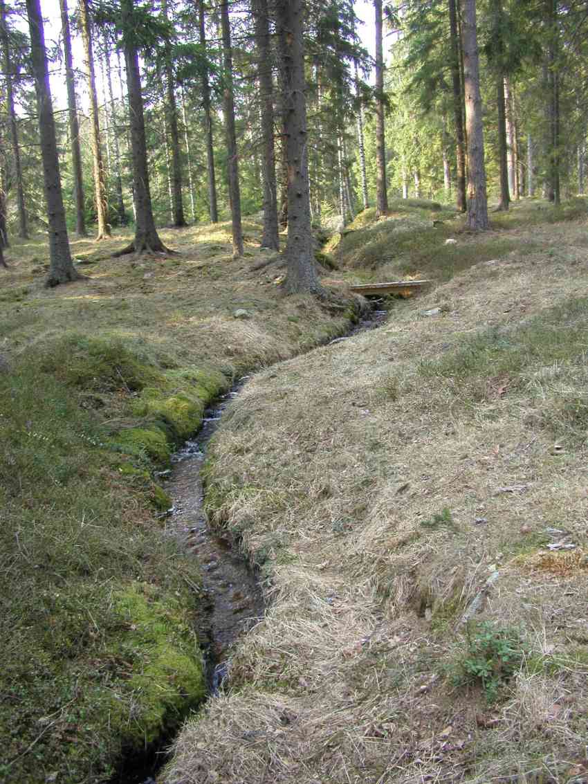 Kuva: Asuinpaikka-alueen keskellä virtaava puro. Satu Mikkonen-Hirvonen 28.4.2006