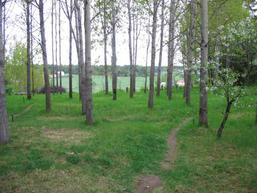 Kuva: Kalmistoaluetta kevään heleässä vihreydessä. Satu Mikkonen-Hirvonen 26.5.2005