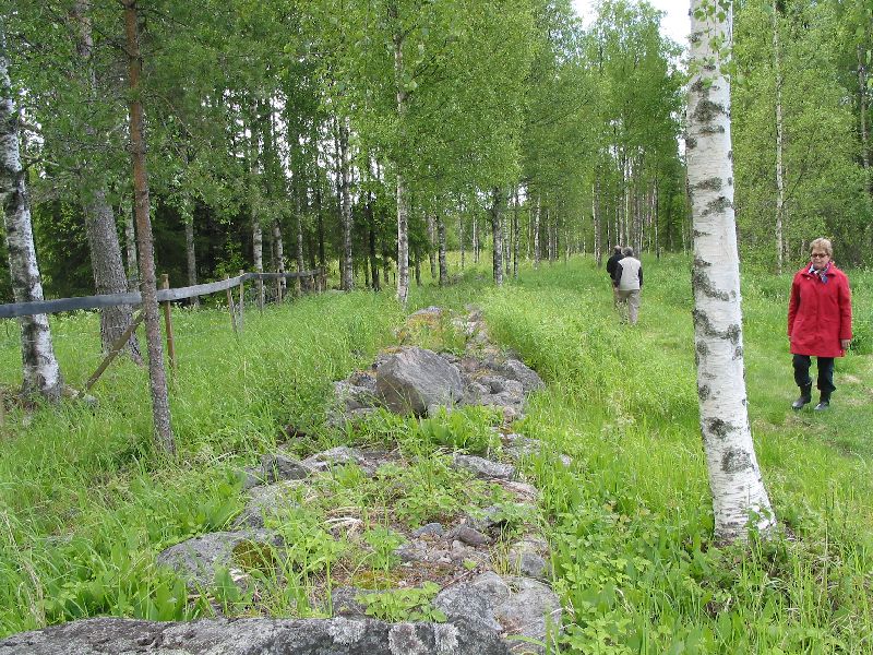 Kuva: Kiviaitaa Nissehagenin muinasijäännösalueella Leena Koivisto 17.6.2004