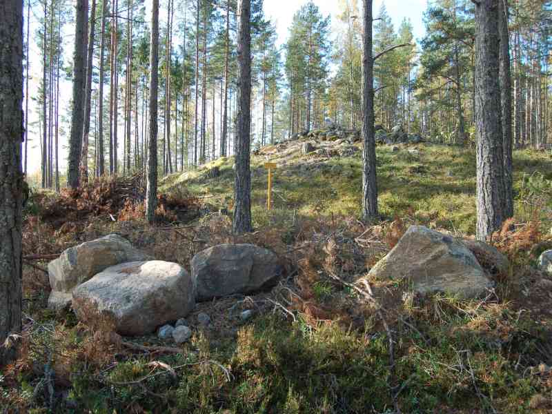 Kuva: Yleiskuva röykkiöalueesta. Satu Mikkonen-Hirvonen 9/2006