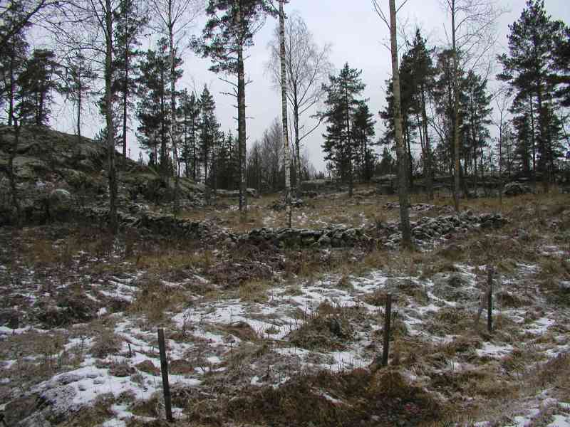 Kuva: Kaivosaluene kivirakenteita ensi lumen tultua. Satu Mikkonen-Hirvonen 11/2004