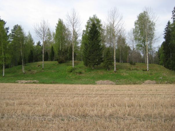 Kuva: Liinmaan linna kuvattuna pohjoisesta Leena Koivisto 19.5.2009
