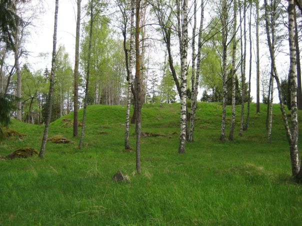 Kuva: Liinmaan linna kuvattuna kaakosta Leena Koivisto 19.5.20009
