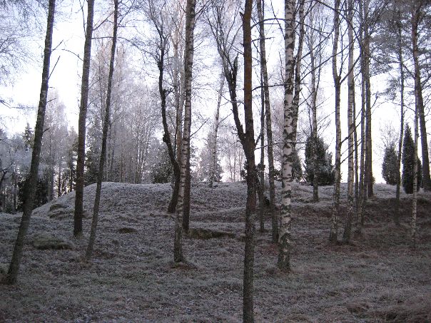 Liinmaan linna kuvattuna kaakosta Leena Koivisto 3.12.2009