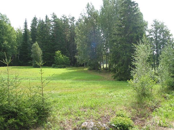 Kuva: Hirvenpään löytöpaikka ja Palojoen asuinpaikka Leena Koivisto 4.8.2003