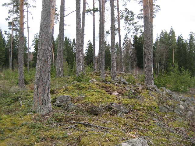 Kuva: Juholan röykkiöalue kuvattuna etelästä Leena Koivisto 15.4.2010