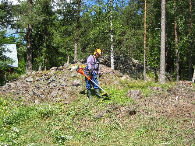 Kuva: Raivausta Kaunismäen pohjoisen röykkiöryhmän ympäristössä Leena Koivisto 1.7.2010