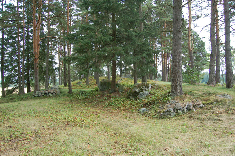 Alueen pohjoisosa, jossa röykkiöt ovat vielä säilyneet syksyllä hoitoperiodin jälkeen. Kuvattu lännestä. Teija Tiitinen 2.9.2009