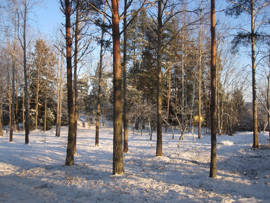 Kuva: Kalmistoalue talviasussa tammikuussa 2012. Satu Mikkonen-Hirvonen 1/2012