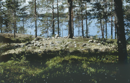 Lapinraunio Helena Taskinen 1998