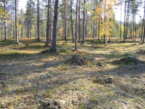Kuva: Yksi Nukkumajoki 9 liesilatomuksista. Eija Ojanlatva 2008