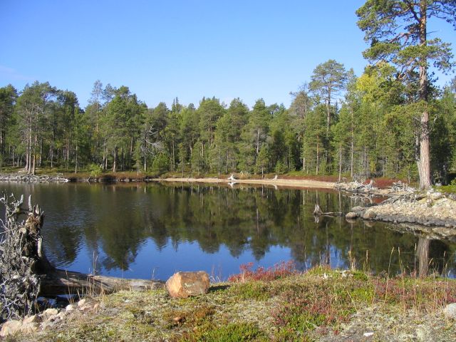 Kuva: Hiekkaranta, josta löytyi kvartsi-iskoksia vesirajasta ja vedestä 20 m matkalla. Eija Ojanlatva 2008