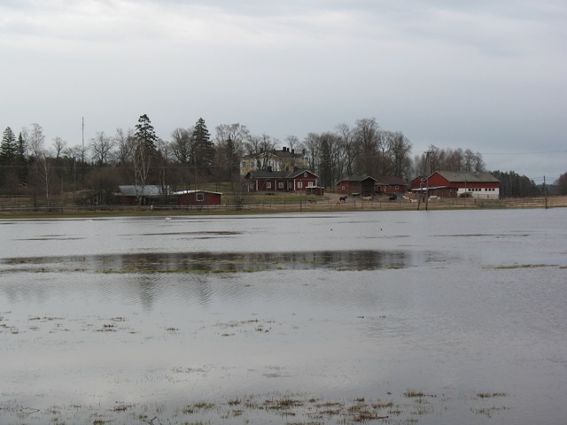 Kuva: Husön kartanonpaikka kuvattuna lahden toiselta puolelta. V.-P. Suhonen