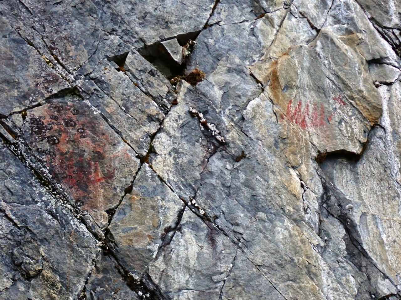 Kuva: Kalliomaalauksessa näkyy selvästi mm. kaksi ns. hirvivenekuviota. Lahden museot / Päijät-Hämeen alueellinen vastuumuseo. CC BY 4.0 Esko Tikkala 4.11.2020