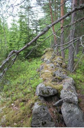 Osayleiskaava-alueella sijaitseva kipinäaita on säilynyt
paikoitellen erinomaisesti. Kuva otettu radan eteläpuolelta,
Haarakylän itäpuolella olevasta kipinäaidasta. Kuvattu itään. Lahden museot / Päijät-Hämeen alueellinen vastuumuseo. CC BY 4.0 Teemu Tiainen 2014